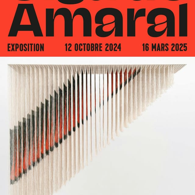 fondation-cartier-olga-de-amaral-exhibition_1