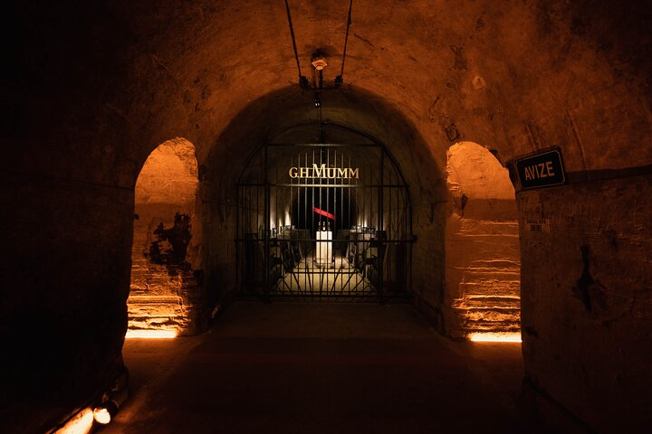 From Reims: Full day Mumm, family growers and lunch - Photo 1 of 7