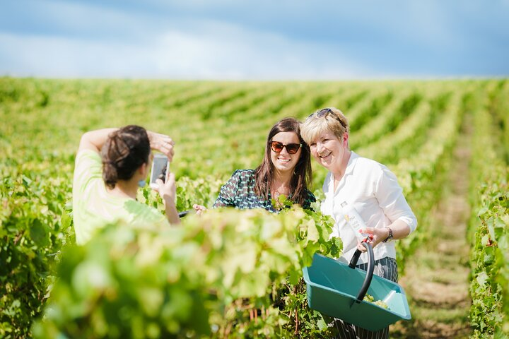 Spend the day experiencing the Champagne wine region around Reims and Epernay! © Cyrille Beudot - Office de Tourisme du Grand Reims