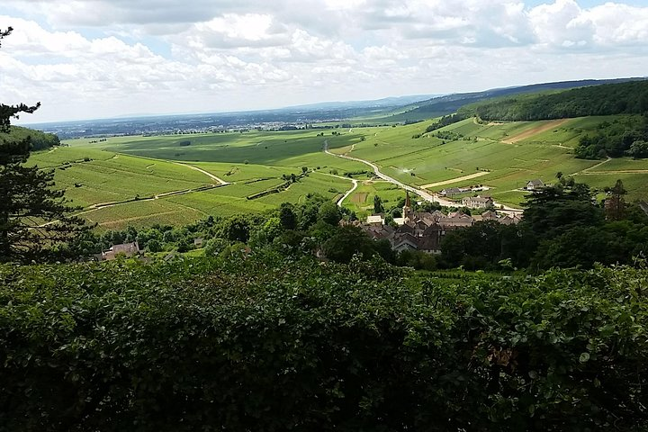 Bugundy around Beaune