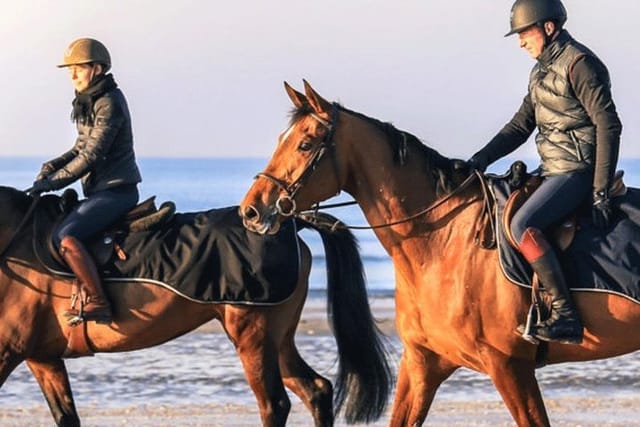 Gallop on the beach