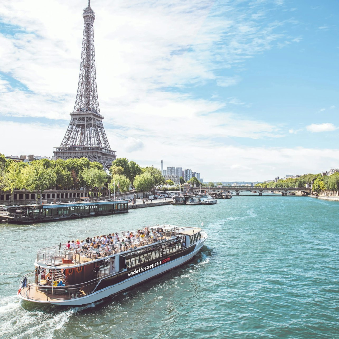 Guided Cruise on the Seine - Photo 1 of 11