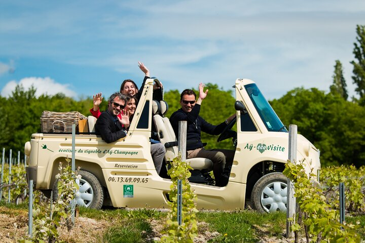 Guided tour of the Aÿ vineyard and Champagne tasting - Photo 1 of 6