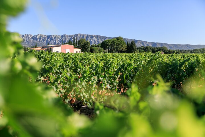 Half day Wine Tour in Côtes de Provence Sainte-Victoire from Aix en Provence - Photo 1 of 6