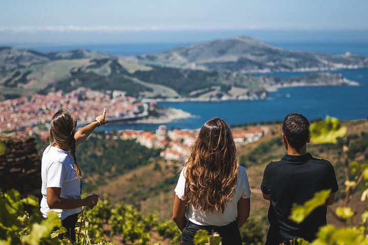 Hiking in the Vineyard in Banyuls-sur-Mer - Photo 1 of 7