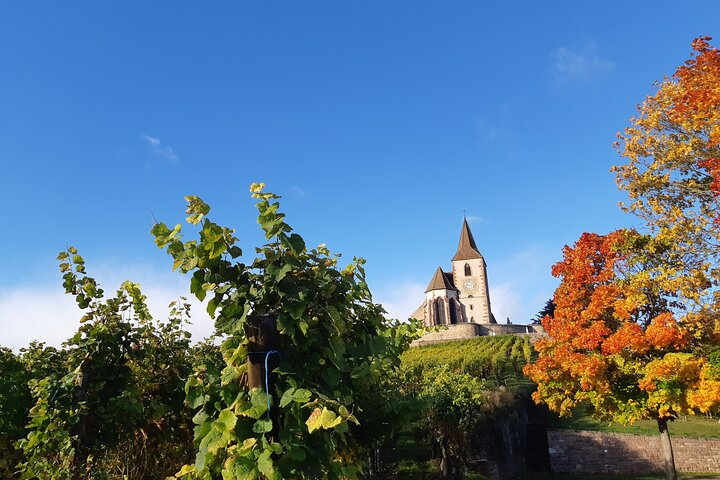 ICONICS Tour: 1/2 day on the Wine Route, visit of 2 Villages + Tasting. - Photo 1 of 11