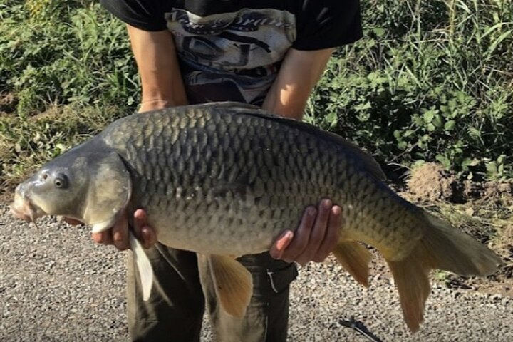 Introduction to fishing in Strasbourg  - Photo 1 of 21