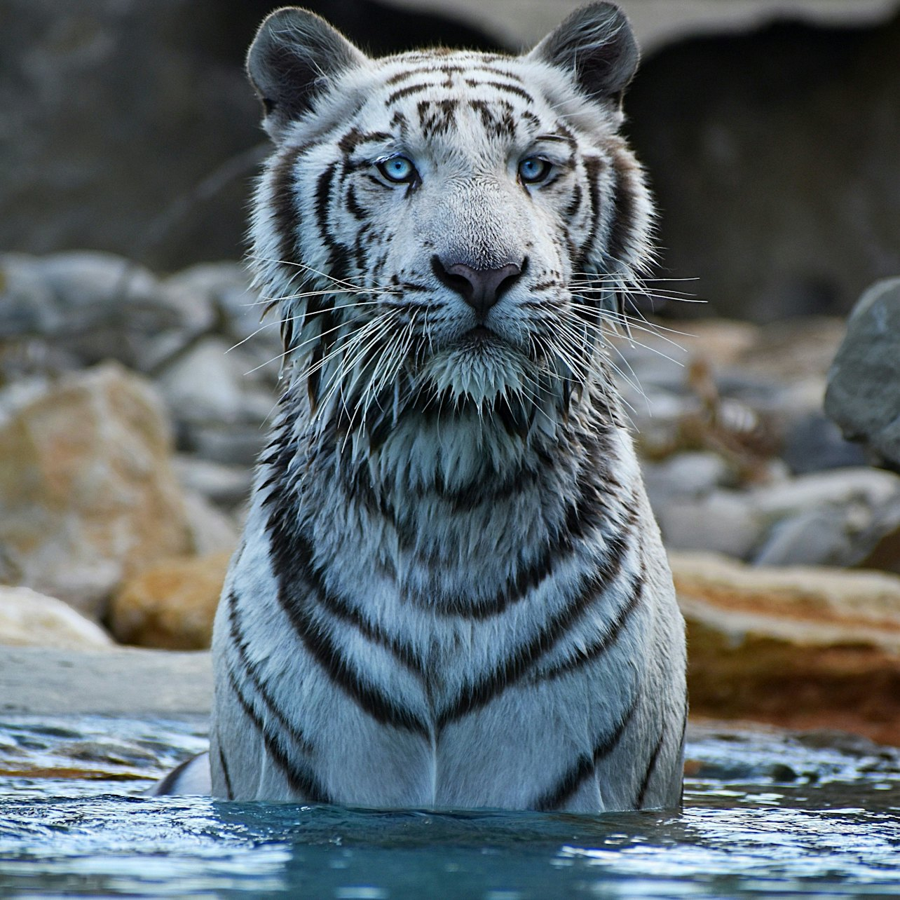 La Barben Animal Park - Photo 1 of 3