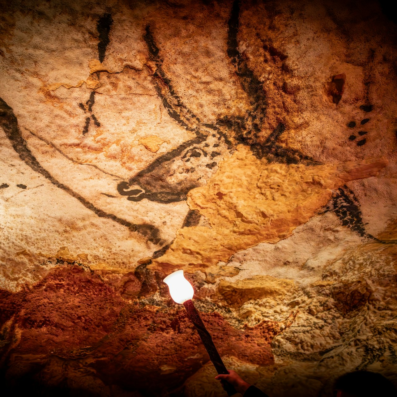 Lascaux IV: Guided Tour - Photo 1 of 4