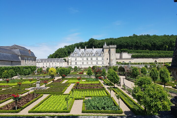 Loire Valley Day from Amboise : Azay le Rideau, Villandry, Winery - Photo 1 of 6