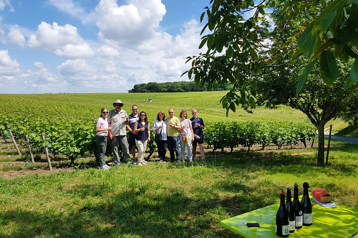 Loire Valley Half Day Wine Tour from Tours : Vouvray Wine Tasting - Photo 1 of 7