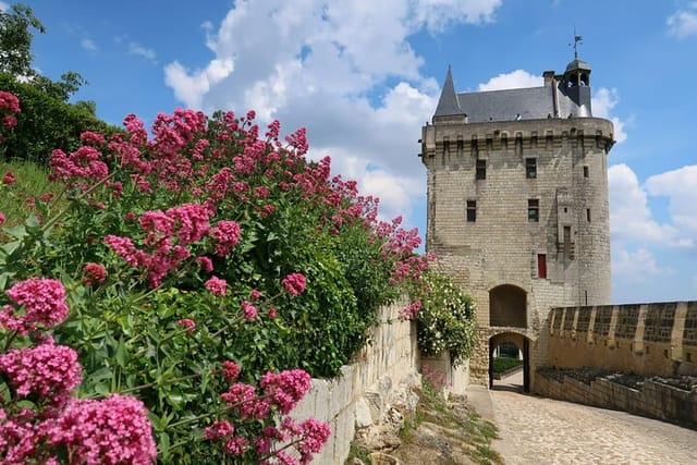 Loire Valley Wine Region: Private Full Day Tour from Tours - Photo 1 of 7