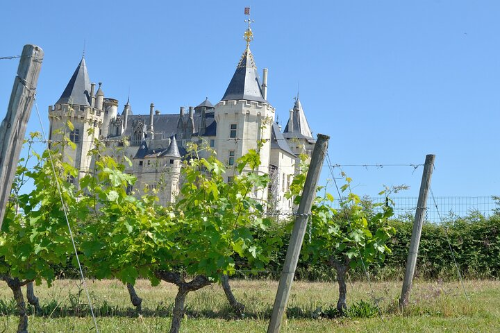 Loire vineyard and Château