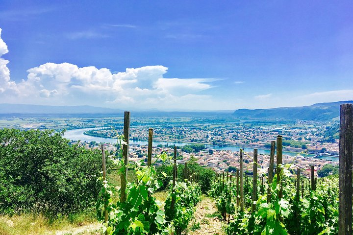 Norther Rhône vineyards