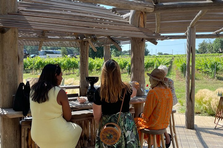 Private 1/2 day wine tour St-Tropez - Photo 1 of 12