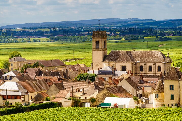 Private Burgundy Côte de Beaune Wine Tour Experience from Beaune - Photo 1 of 6