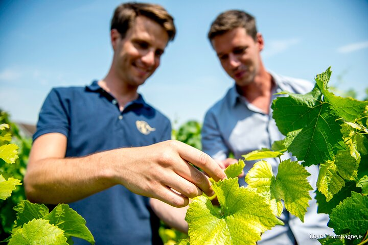 Private Champagne tour, family growers and lunch - Photo 1 of 9