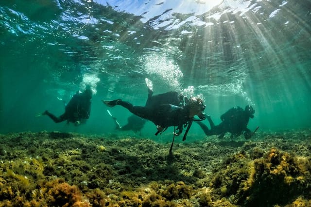 Private Discovery of Scuba Diving in Estérel - Photo 1 of 24