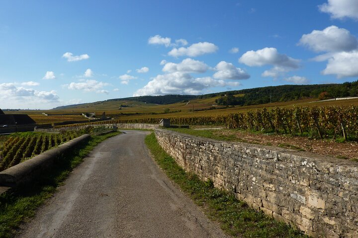 Private Full Day Tour Burgundy Gourmet - Photo 1 of 9