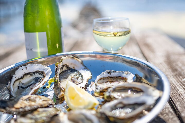 Private Half-Day Languedoc Wine and Oyster Tour from Sète - Photo 1 of 11