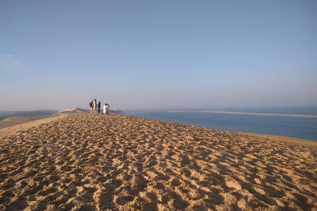 Private morning trip to the Dune of Pyla & oysters tasting at the local market  - Photo 1 of 14