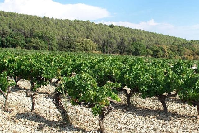 LUBERON & VENTOUX wine