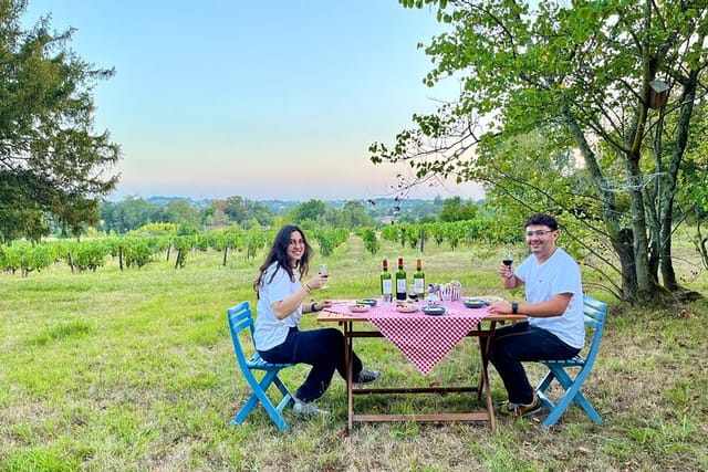 Visit of the Bordeaux vineyards in a 2cv, wine tasting and picnic