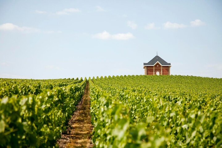 Private Tour to the best Champagne Wineries from Paris - Photo 1 of 5