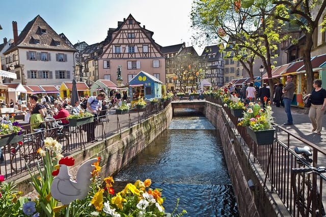 Segway Tours 2h in Colmar - Photo 1 of 13