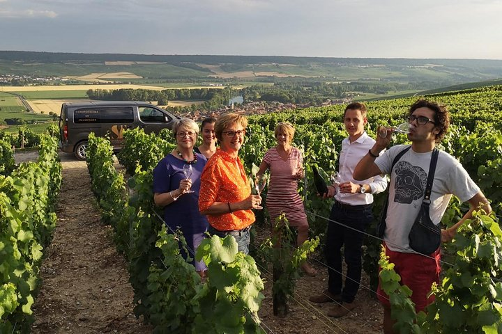 Tasting in the Vines