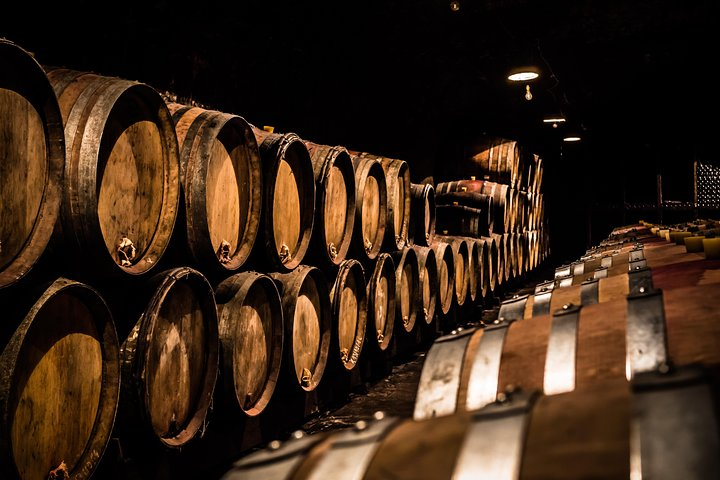 Wine cellar from 16th century