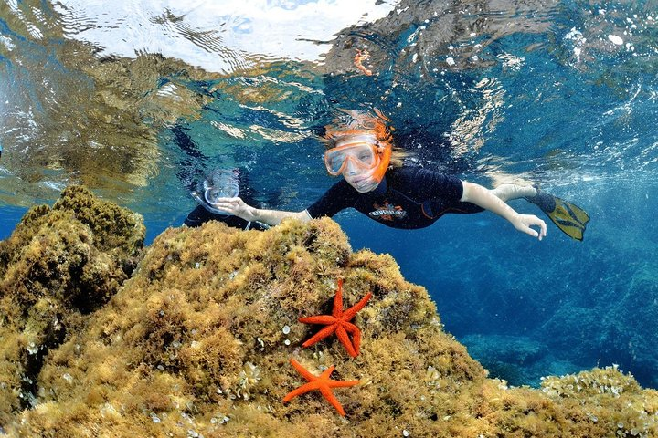 Snorkeling - By boat on site in the Bay of Cannes or Estérel - Photo 1 of 9