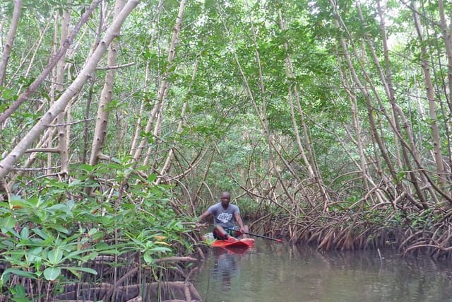 Stand up paddle in paradise - Photo 1 of 9