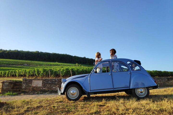 The Grands Crus Route in a classic French car + wine tasting - 3h - Photo 1 of 7