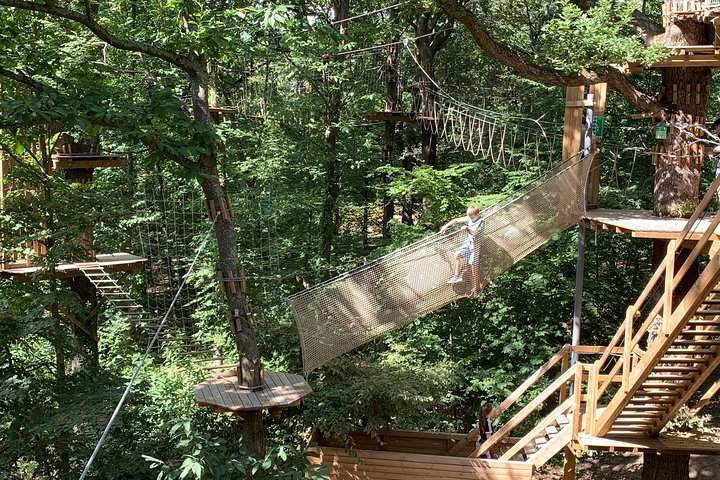 Tree Top Adventure in Forest of Meudon  - Photo 1 of 6