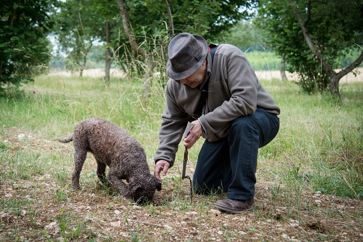 Truffle Cavage Demonstration - Photo 1 of 2