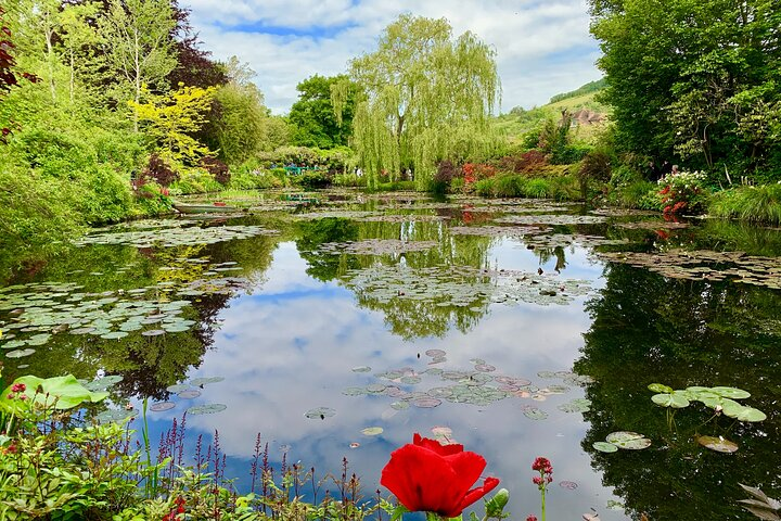 Monet's Lily
 Pond