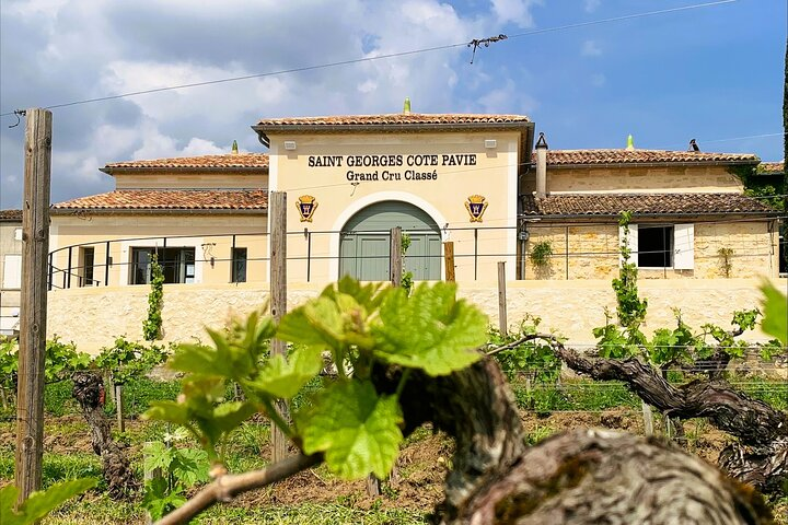 Entrance to Château Saint-Georges Cote Pavie