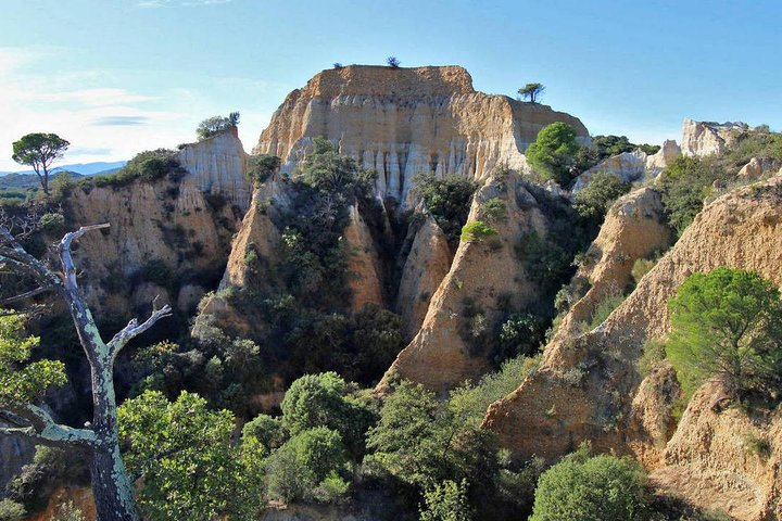 Wild Organs: Grand Landscape, Plants, Geology, Birdsongs - Photo 1 of 6