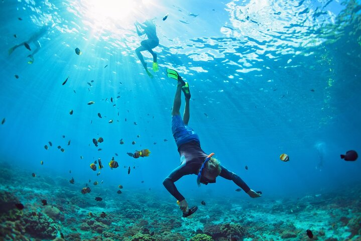 Snorkel Cruise Private Tour to Underwater Sculptures in Grenada - Photo 1 of 6