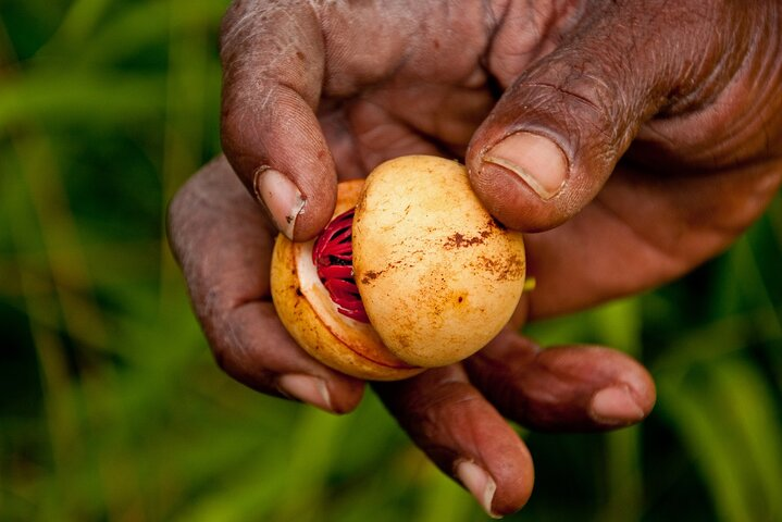 Spice Gardens, Rum & Chocolate Private Tour in Grenada - Photo 1 of 6