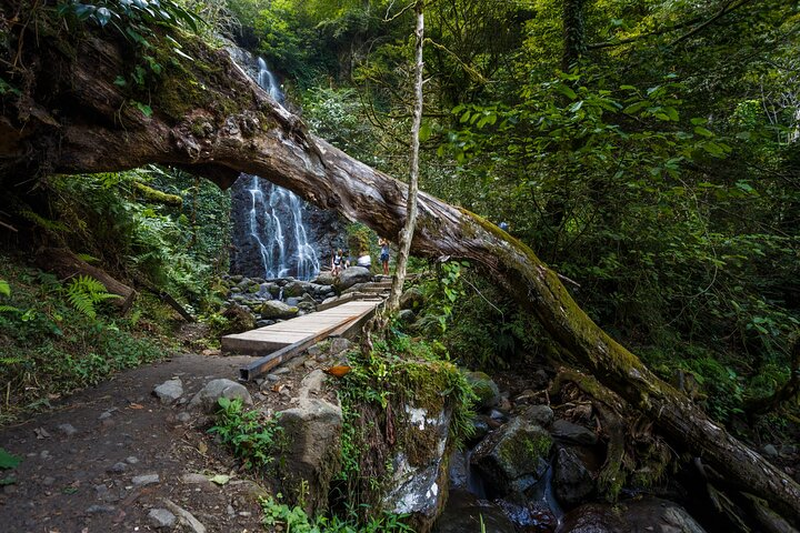 Batumi, Waterfalls & Folklore - A Group Tour from Kutaisi - Photo 1 of 10