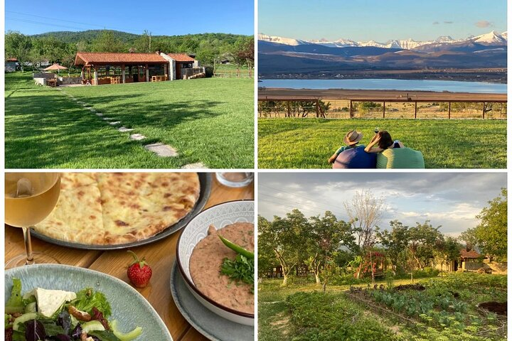 Horse riding at Lake side Near Tbilisi with Lunch at Farm to table restaurant - Photo 1 of 5