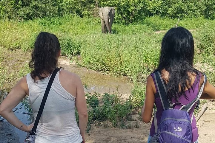 3 Days Elephants Safari at Mole Park with Round - trip flights - Photo 1 of 13