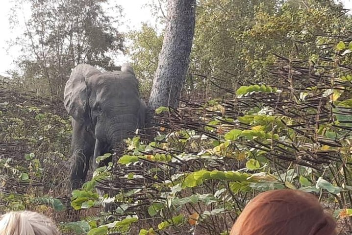 3 Days Trip to Mole National Park  - Photo 1 of 8