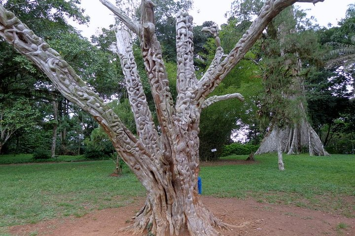 Day Trip to Akwapim Range - Photo 1 of 3