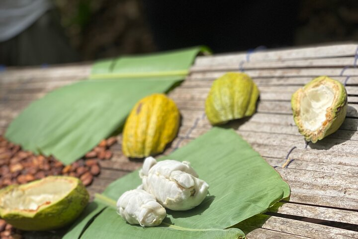 Chocolate lovers check out , the first cocoa farm 