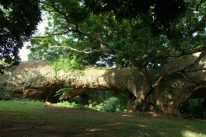 The best of Kumasi walking tour - Photo 1 of 3