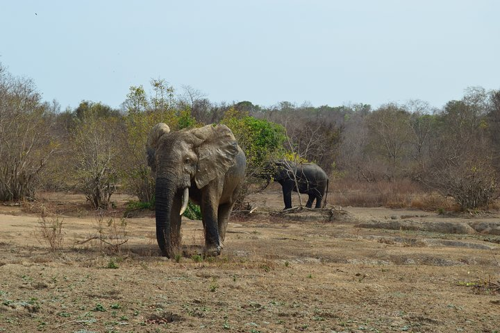 The best of Tamale walking tour - Photo 1 of 3