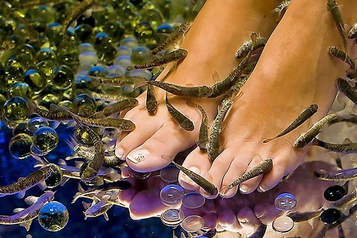 Fish Pedi